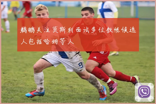 鹈鹕关注莫斯利面试多位教练候选人包括哈姆等人