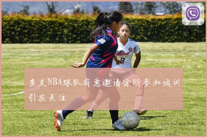多支NBA球队有意邀请徐昕参加试训引发关注